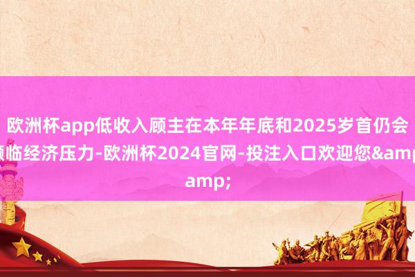 欧洲杯app低收入顾主在本年年底和2025岁首仍会濒临经济压力-欧洲杯2024官网-投注入口欢迎您&