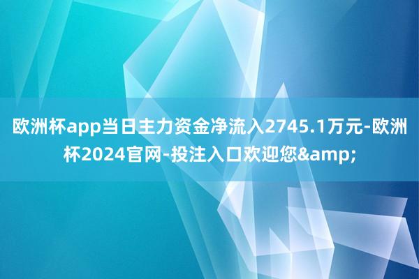 欧洲杯app当日主力资金净流入2745.1万元-欧洲杯2024官网-投注入口欢迎您&