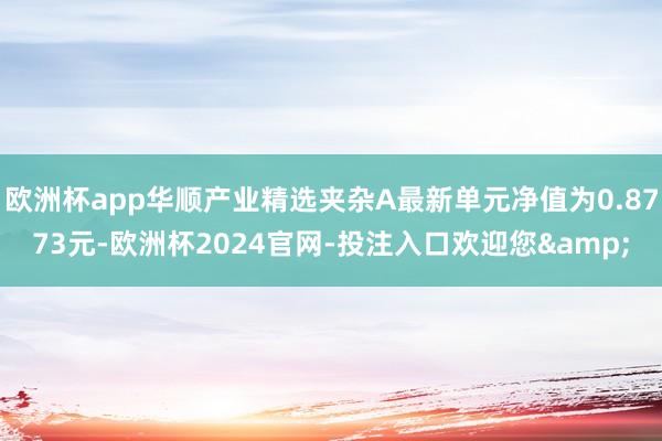 欧洲杯app华顺产业精选夹杂A最新单元净值为0.8773元-欧洲杯2024官网-投注入口欢迎您&