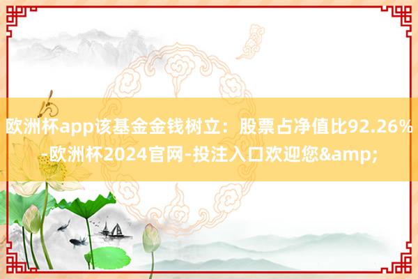 欧洲杯app该基金金钱树立：股票占净值比92.26%-欧洲杯2024官网-投注入口欢迎您&