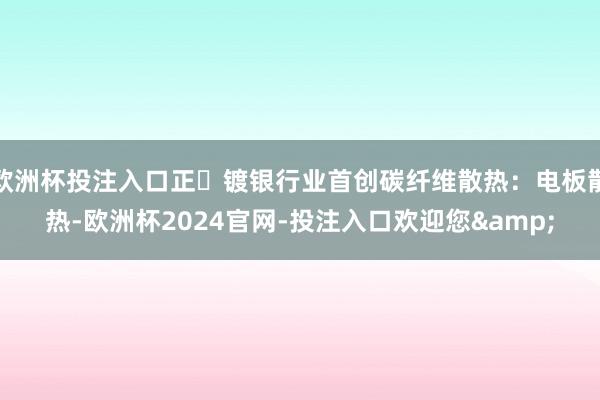 欧洲杯投注入口正⾯镀银行业首创碳纤维散热：电板散热-欧洲杯2024官网-投注入口欢迎您&