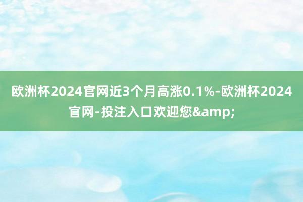 欧洲杯2024官网近3个月高涨0.1%-欧洲杯2024官网-投注入口欢迎您&