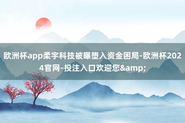 欧洲杯app柔宇科技被曝堕入资金困局-欧洲杯2024官网-投注入口欢迎您&