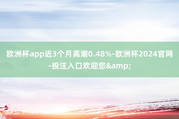 欧洲杯app近3个月高潮0.48%-欧洲杯2024官网-投注入口欢迎您&