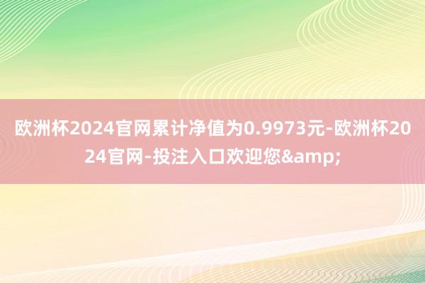 欧洲杯2024官网累计净值为0.9973元-欧洲杯2024官网-投注入口欢迎您&