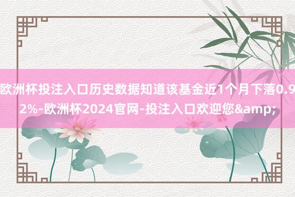 欧洲杯投注入口历史数据知道该基金近1个月下落0.92%-欧洲杯2024官网-投注入口欢迎您&