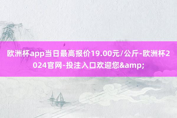 欧洲杯app当日最高报价19.00元/公斤-欧洲杯2024官网-投注入口欢迎您&