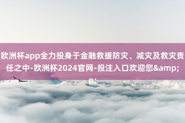 欧洲杯app全力投身于金融救援防灾、减灾及救灾责任之中-欧洲杯2024官网-投注入口欢迎您&