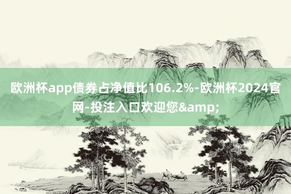 欧洲杯app债券占净值比106.2%-欧洲杯2024官网-投注入口欢迎您&