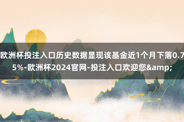 欧洲杯投注入口历史数据显现该基金近1个月下落0.75%-欧洲杯2024官网-投注入口欢迎您&