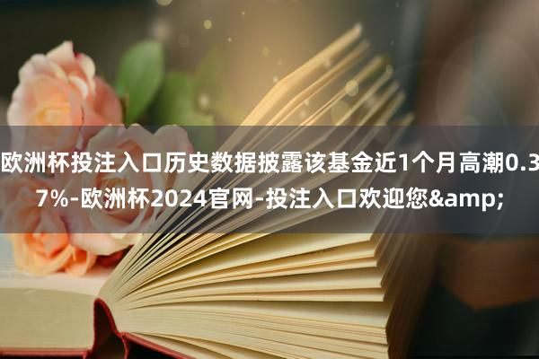 欧洲杯投注入口历史数据披露该基金近1个月高潮0.37%-欧洲杯2024官网-投注入口欢迎您&