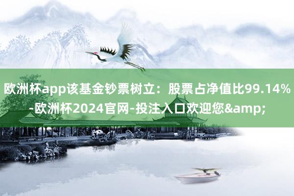 欧洲杯app该基金钞票树立：股票占净值比99.14%-欧洲杯2024官网-投注入口欢迎您&