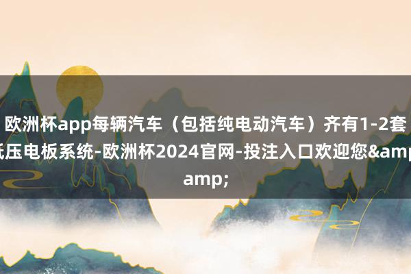 欧洲杯app每辆汽车（包括纯电动汽车）齐有1-2套低压电板系统-欧洲杯2024官网-投注入口欢迎您&