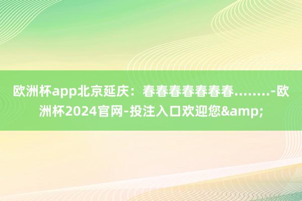 欧洲杯app北京延庆：春春春春春春春........-欧洲杯2024官网-投注入口欢迎您&