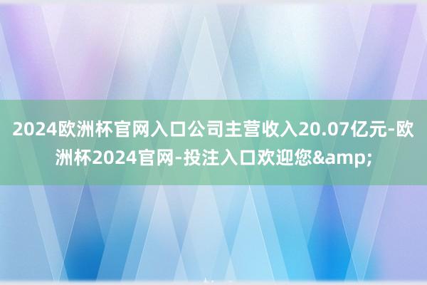 2024欧洲杯官网入口公司主营收入20.07亿元-欧洲杯2024官网-投注入口欢迎您&