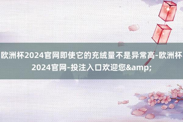 欧洲杯2024官网即使它的充绒量不是异常高-欧洲杯2024官网-投注入口欢迎您&