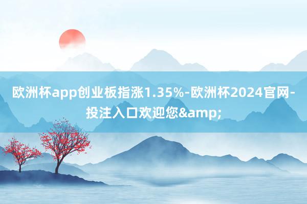 欧洲杯app创业板指涨1.35%-欧洲杯2024官网-投注入口欢迎您&