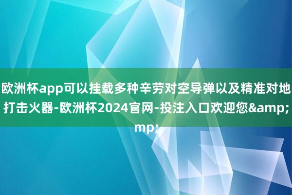 欧洲杯app可以挂载多种辛劳对空导弹以及精准对地打击火器-欧洲杯2024官网-投注入口欢迎您&