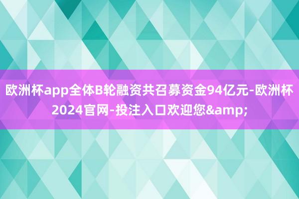 欧洲杯app全体B轮融资共召募资金94亿元-欧洲杯2024官网-投注入口欢迎您&