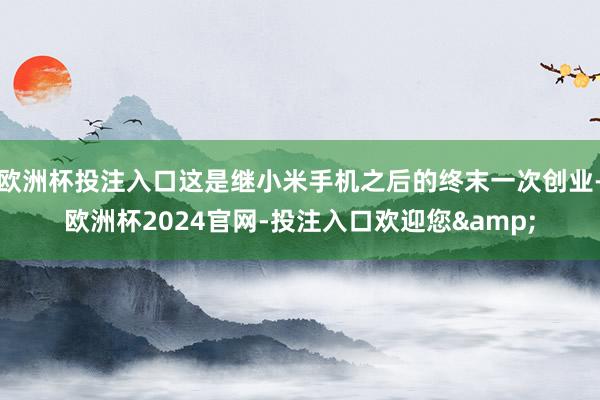 欧洲杯投注入口这是继小米手机之后的终末一次创业-欧洲杯2024官网-投注入口欢迎您&
