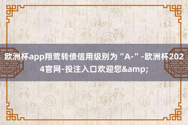 欧洲杯app翔鹭转债信用级别为“A-”-欧洲杯2024官网-投注入口欢迎您&