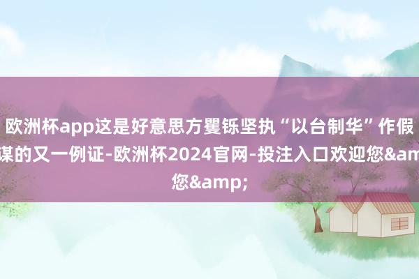 欧洲杯app这是好意思方矍铄坚执“以台制华”作假计谋的又一例证-欧洲杯2024官网-投注入口欢迎您&