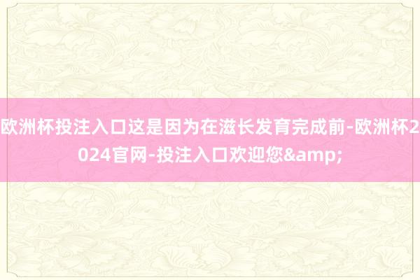 欧洲杯投注入口这是因为在滋长发育完成前-欧洲杯2024官网-投注入口欢迎您&