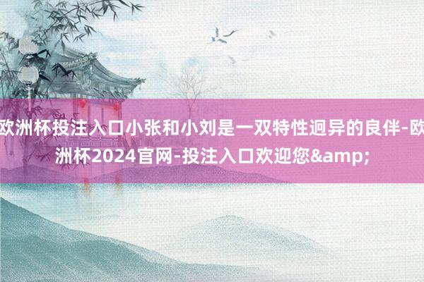 欧洲杯投注入口小张和小刘是一双特性迥异的良伴-欧洲杯2024官网-投注入口欢迎您&