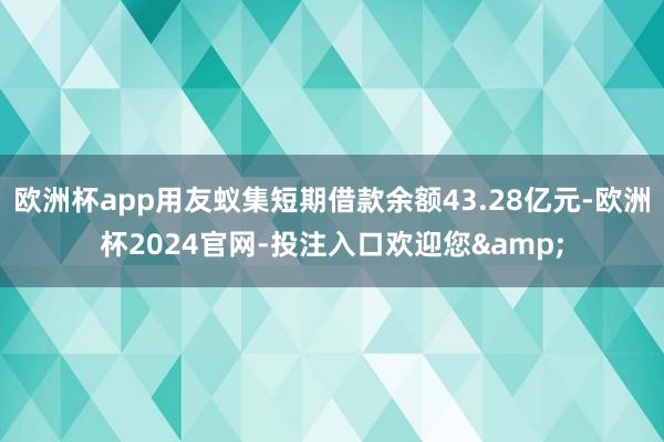 欧洲杯app用友蚁集短期借款余额43.28亿元-欧洲杯2024官网-投注入口欢迎您&