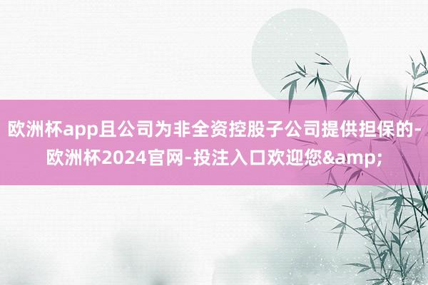 欧洲杯app且公司为非全资控股子公司提供担保的-欧洲杯2024官网-投注入口欢迎您&