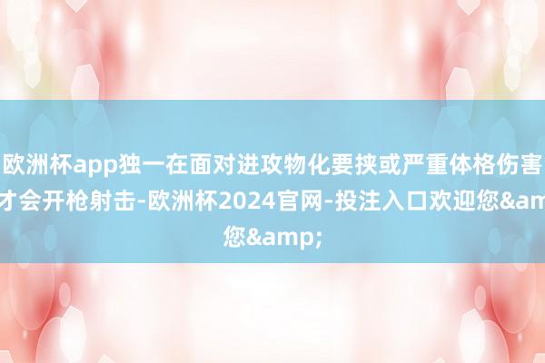 欧洲杯app独一在面对进攻物化要挟或严重体格伤害时才会开枪射击-欧洲杯2024官网-投注入口欢迎您&