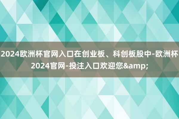 2024欧洲杯官网入口在创业板、科创板股中-欧洲杯2024官网-投注入口欢迎您&