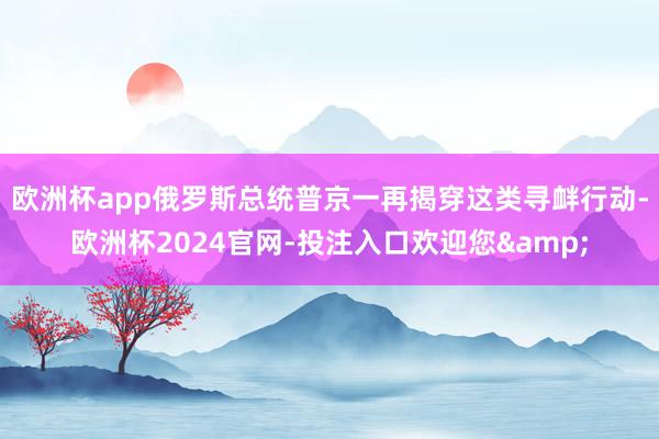 欧洲杯app俄罗斯总统普京一再揭穿这类寻衅行动-欧洲杯2024官网-投注入口欢迎您&