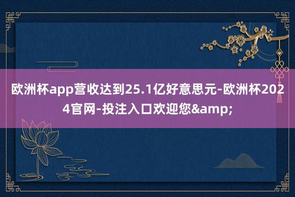 欧洲杯app营收达到25.1亿好意思元-欧洲杯2024官网-投注入口欢迎您&