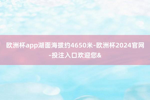 欧洲杯app湖面海拔约4650米-欧洲杯2024官网-投注入口欢迎您&