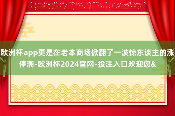 欧洲杯app更是在老本商场掀翻了一波惊东谈主的涨停潮-欧洲杯2024官网-投注入口欢迎您&