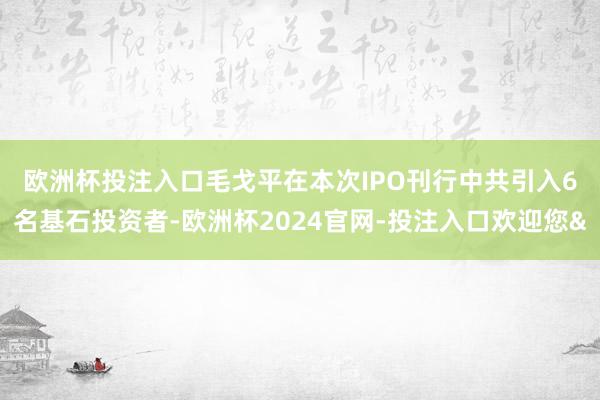 欧洲杯投注入口　　毛戈平在本次IPO刊行中共引入6名基石投资者-欧洲杯2024官网-投注入口欢迎您&