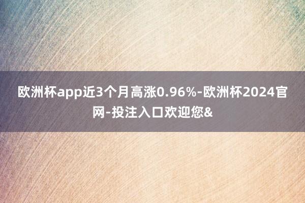 欧洲杯app近3个月高涨0.96%-欧洲杯2024官网-投注入口欢迎您&