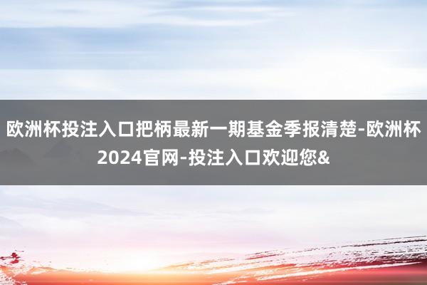 欧洲杯投注入口把柄最新一期基金季报清楚-欧洲杯2024官网-投注入口欢迎您&