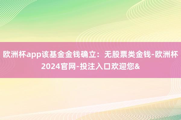 欧洲杯app该基金金钱确立：无股票类金钱-欧洲杯2024官网-投注入口欢迎您&