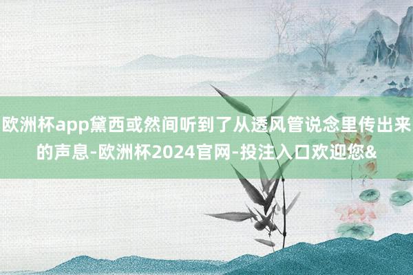 欧洲杯app黛西或然间听到了从透风管说念里传出来的声息-欧洲杯2024官网-投注入口欢迎您&