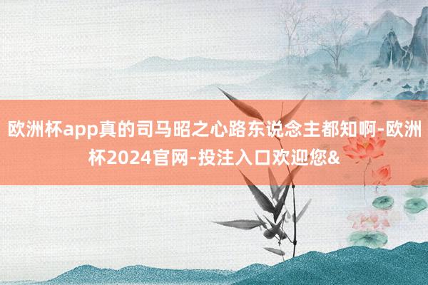 欧洲杯app真的司马昭之心路东说念主都知啊-欧洲杯2024官网-投注入口欢迎您&