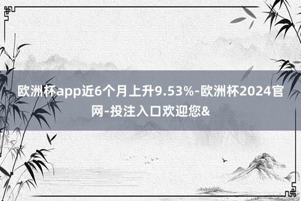 欧洲杯app近6个月上升9.53%-欧洲杯2024官网-投注入口欢迎您&