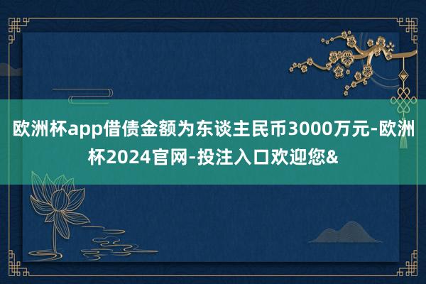 欧洲杯app借债金额为东谈主民币3000万元-欧洲杯2024官网-投注入口欢迎您&