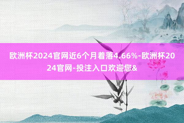 欧洲杯2024官网近6个月着落4.66%-欧洲杯2024官网-投注入口欢迎您&