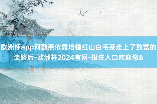 欧洲杯app何勤燕依靠培植红山白毛茶走上了致富的谈路后-欧洲杯2024官网-投注入口欢迎您&