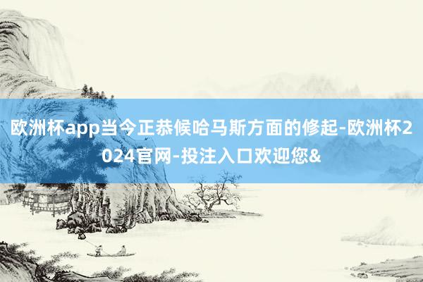欧洲杯app当今正恭候哈马斯方面的修起-欧洲杯2024官网-投注入口欢迎您&