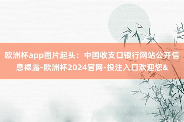 欧洲杯app图片起头：中国收支口银行网站　　公开信息裸露-欧洲杯2024官网-投注入口欢迎您&