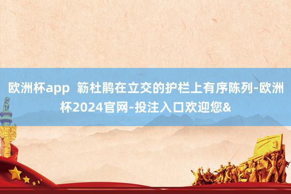 欧洲杯app  簕杜鹃在立交的护栏上有序陈列-欧洲杯2024官网-投注入口欢迎您&