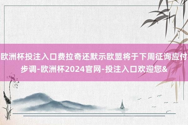 欧洲杯投注入口费拉奇还默示欧盟将于下周征询应付步调-欧洲杯2024官网-投注入口欢迎您&